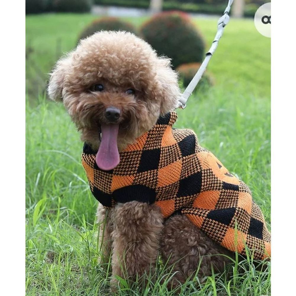 NWOT HALLOWEEN PET SWEATER